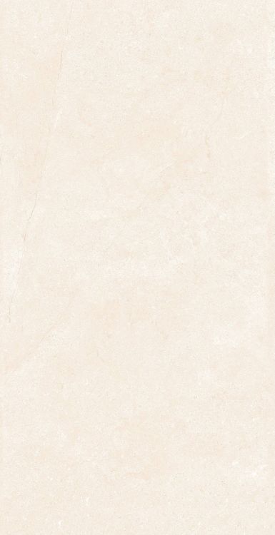 OL Marfil Matte 12 x 24